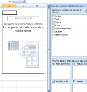Tabla Din&aacute;mica de Ventas por rubro, Tabla dinamica ventas por rubro 03 284x300