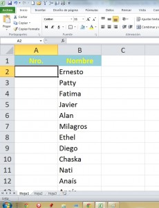 Función ALEATORIO.ENTRE en Excel, exc 230x300 Función ALEATORIO.ENTRE en Excel, exc 230x300