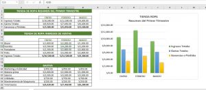 ¿Cómo organizar y usar programas, gráficos y archivos en Excel?, 9 300x132