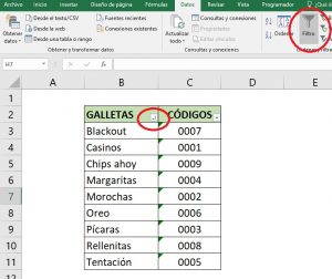 ¿Cómo funcionan los filtros en Excel?, 29 300x252