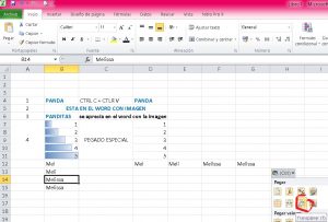 ¿Cómo realizar la acción de copiar y pegar en Excel?, Opción de transponer 300x203