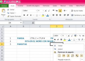 ¿Cómo realizar la acción de copiar y pegar en Excel?, Pegado especial 300x215