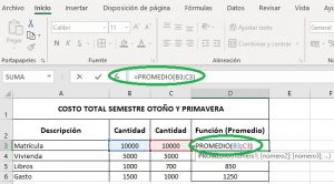 ¿Cómo ingresar funciones en Excel?, PromedioExcel 300x166